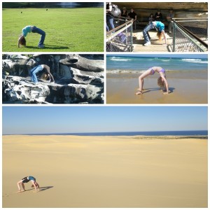 bridge collage