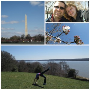 DC and Virginia