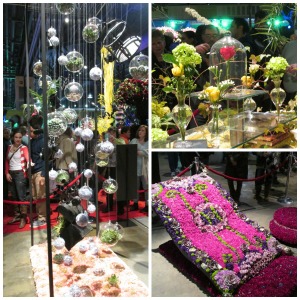 flower show 2