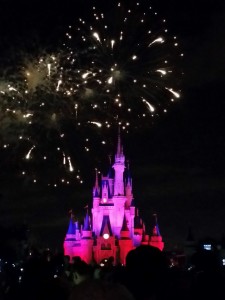 Disney Magic Kingdom