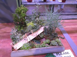 flower show miniature