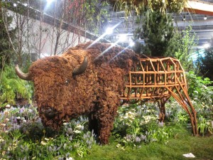 flower show bison
