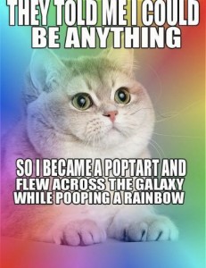 nyan_cat_poptart