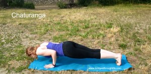 chaturanga vinyasa yoga