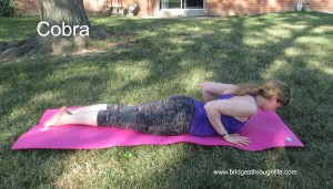 cobra vinyasa yoga