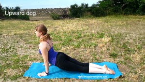 upward dog vinyasa