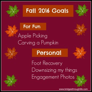 fall 2016 goals