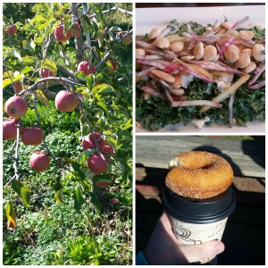 solebury orchards and kale salad