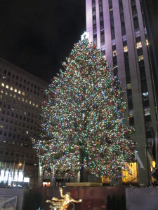 NYC christmas tree 2016
