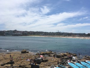 bondi beach 