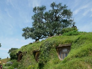 hobbiton 5