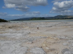 sulfur bay