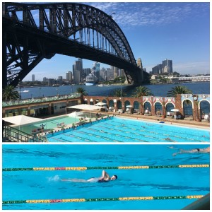 swimming sydney harbor