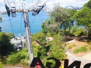 taronga zoo sky walk