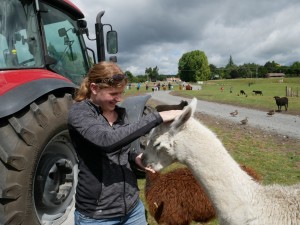 agrodome farm rotorua new zealand