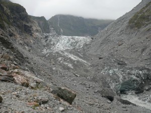 fox glacier free walk south island