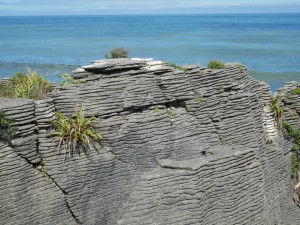 pancake rocks free walk south island