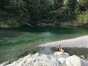 pelorus river free south island new zealand