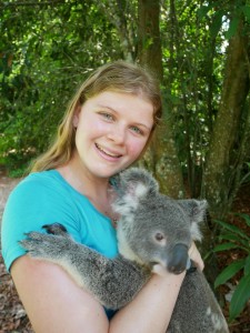 australia zoo koala cuddle 2