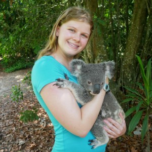 australia zoo koala cuddle