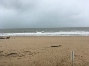 mackay beach before cyclone debbie