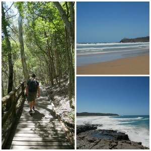 noosa heads national park