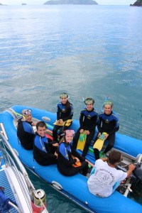 whitsundays snorkel