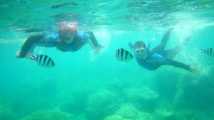 snorkeling