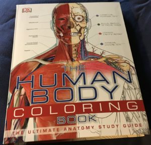 human body coloring book