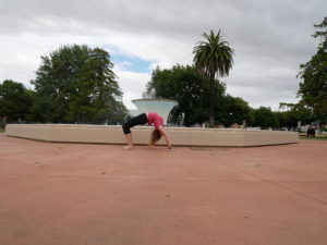 Blenheim Seymour Square New Zealand Jan 2017