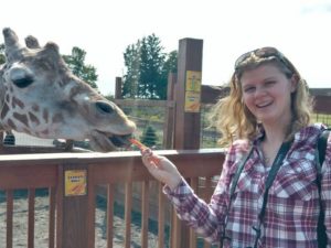 feeding April the giraffe