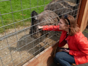 emu at animal adventure