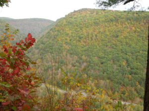 fall colors pa grand canyon