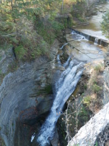 Ithaca state park