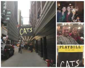cats on broadway