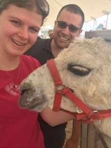 alpaca selfie