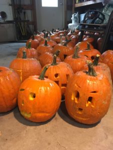 so many pumpkins