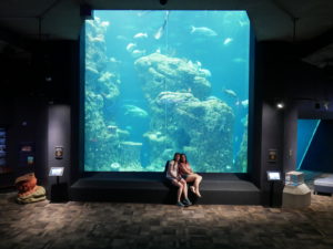 charleston aquarium