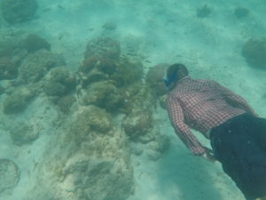 snorkel aruba