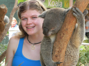 koala