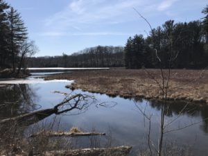 chenango valley state park