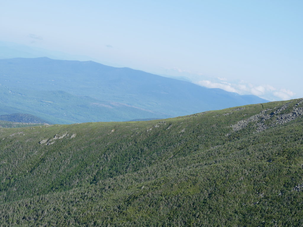 Mt Washington train