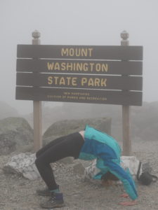 Mt Washington