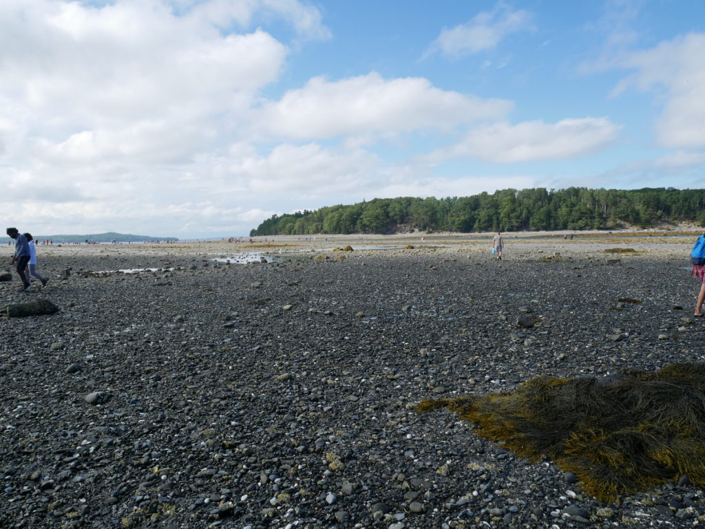 Bar Island Path