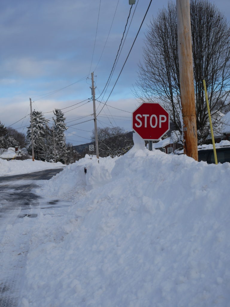 stop sign snowstorm