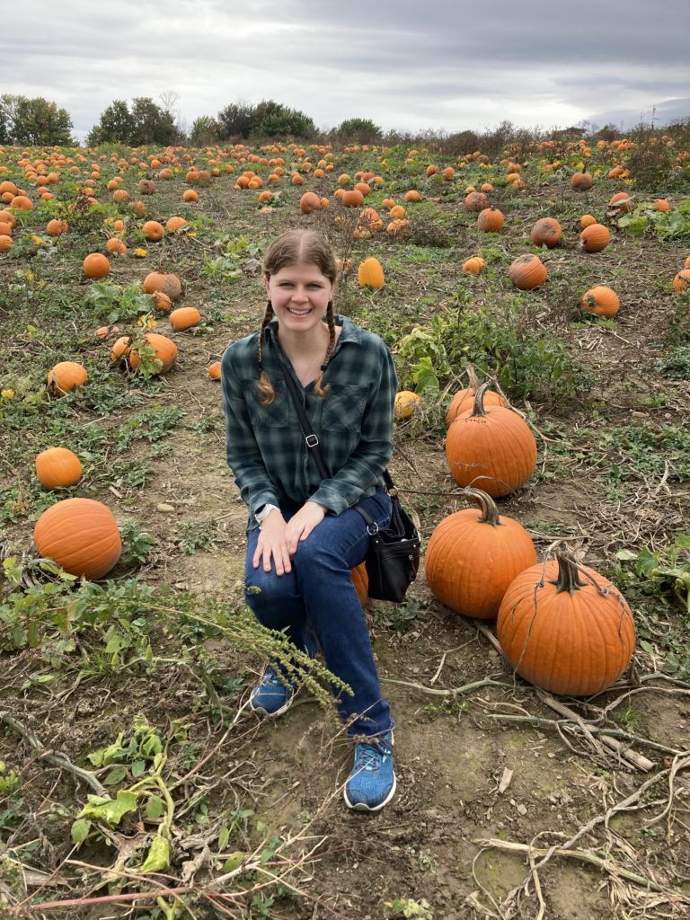 tims pumpkin patch