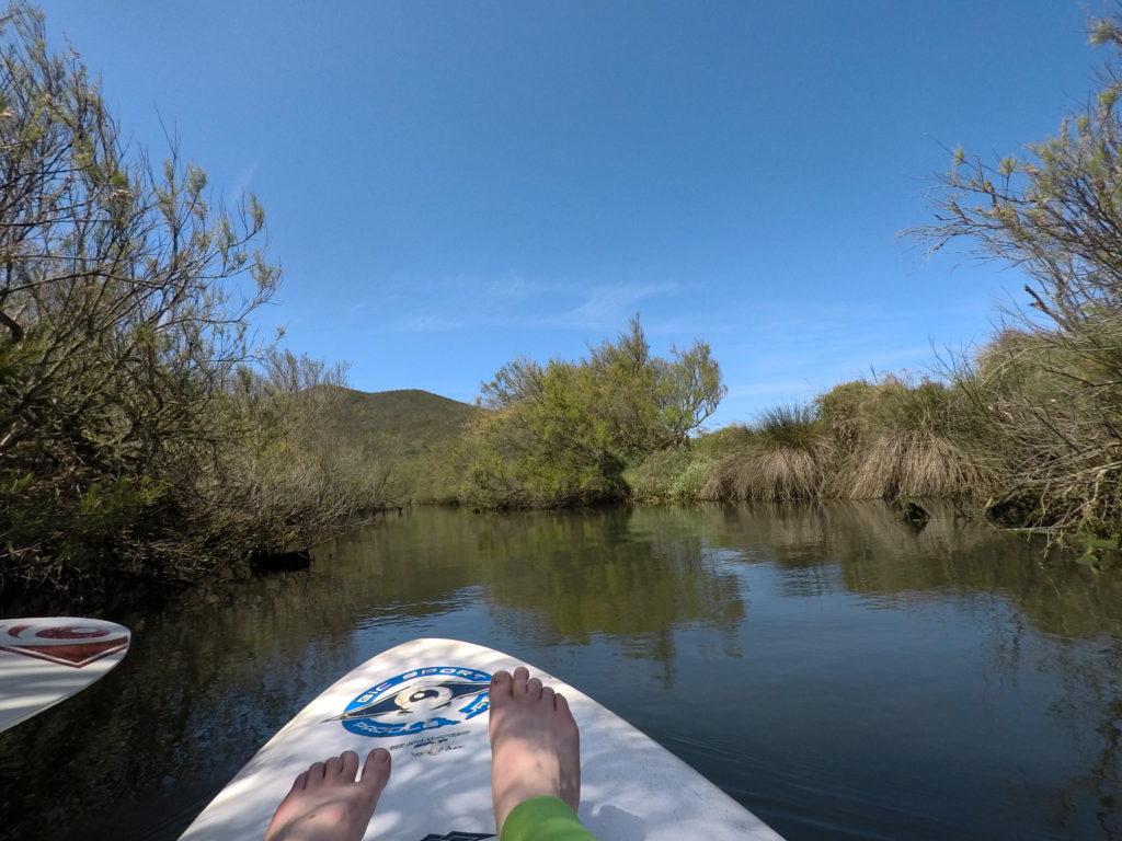 paddleboarding