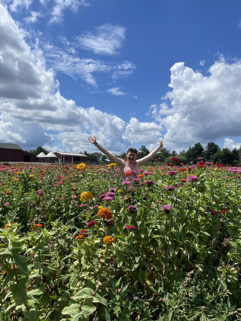 flower field